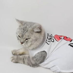 Baju Kucing Anjing Cewek Laki-laki Lucu Murah Gratis Ongkir 3 pcs 5 Ribu - TANK HAPPY BIRTHDAY