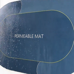 GreenHouse พรมปูพื้น พรมเช็ดเท้า พรมห้องน้ำ พรมปูพื้นห้อง ผ้าเช็ดเท้า พื้นผ้าซับน้ำเช็ดเท้าได้ดีกันลื่น ขนาด 40*60 ซม