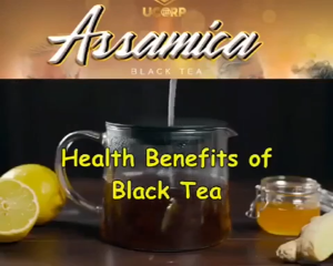 Assamica Black Tea Original by Ucorp /kidneycare /kidneystone /uti /gallstone /ckd /herbal tea - ICE