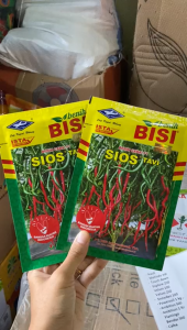 Benih Cabe Keriting - SIOS TAVI F1 - 10 gr