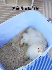 COD กระบะทรายแมว ใหญ่ ห้องน้ำแมว  ห้องน้ำแมวกันเก็บกลิ่น มี 4 สีให้เลือก