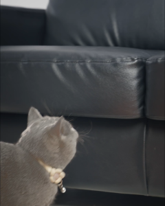 TIMIKIMI 3btls Deodorant Beads Soar Tofu Cat Litter 11packs Combo