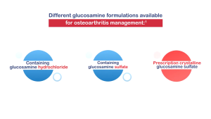 Viartrils S 90 cap 500mg