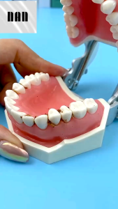 50PCS/set dental floss cleaning of teeth mouth care toothpick Multifunctional portable dental stick