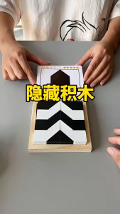 Education Logical Thinking Puzzle Hidden Block Black & White Hiding IQ Brain Intelligence Shape Sorter