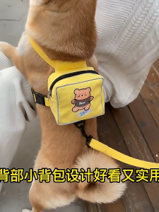 Pet Cat Leash Anti-breakaway Cat Vest Chest Strap Walking Dog Walking Dog Leash