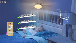 YSS YaSheng 2-in-1 30W/40W Ceiling Fan Light: A Comprehensive Guide