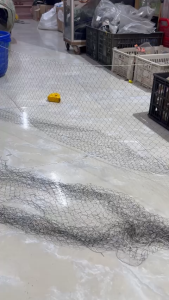 lưới bẫy rắn  lưới bắt rắn  lưới dù 3cm và 4cm