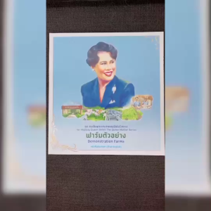 หนังสือชุด สมเด็จพระบรมราชชนนีพันปีหลวง ฟาร์มตัวอย่าง โดย ฝ่ายวิชาการสถาพรบุ๊คส์ สนพ.สถาพรบุ๊คส์