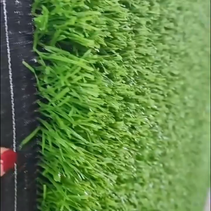 คุณภาพดีขึ้น 15 เท่า หญ้าสูง 3 ซม หญ้าเทียม หญ้าเทียมปูโตะ ลานครอบครัว รั้วสวน พื้นสวน สนามเด็กเล่น หญ้าปลอม หญ้าเทียมปูพื้น หญ้าตกแต่ง หญ้าเทียมพลาสติก หญ้าเทียมถูกๆ หญ้าเทียมราคาถูก หญ้าเทียมตกแต่งสวน หญ้าแผ่นปูพื้น