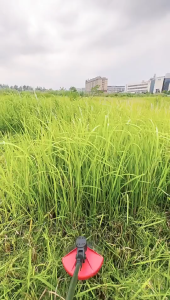 Mesin Potong Rumput Brushless: Keunggulan dan Cara Menggunakannya