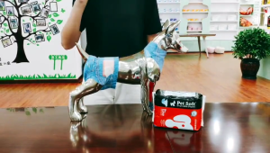 DIAPER ANJING PAMPERS ANJING DOG DISPOSABLE DIAPER PET DIAPER POPOK KUCING POPOK MONYET POPOK HEWAN