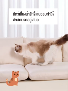 ดร์ขนสุนัขไดร์เป่าขนแมว กล่องอบแห้งพื้นที่ขนาดใหญ่พิเศษ ฆ่าเชื้อด้วยแสงยูวีเครื่องเป่าผมเงียบ กล่องอบแห้งสัตว์เลี้ยง cat hair dryer Cat incubator Pet drying box dog hair dryer