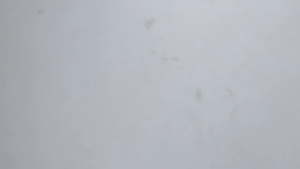 【LoveTail】หนามไล่นก ไล่นกพิราบ ที่ดักนก กันนกพิราบ Bird Spikes กันนกเกาะ อุปกรณ์ไล่นกทำรัง ทนทาน Bird Spikes