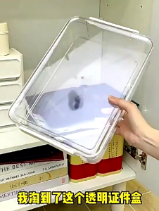 Desktop File Storage Box A4 Document Organizer Case With Lid Stackable Stationery Certificate Storage Box Cabinet Desk Clear Contain 收纳盒