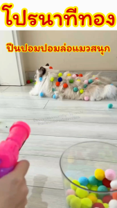 ปืนปอมปอมล่อแมวสนุก/Homequality.TH/น้องแมวสนุก เล่นไม่เบื่อ