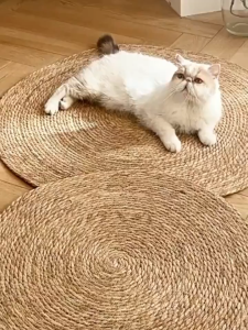 COD วงกลมพรมลับเล็บแมว ที่ลับเล็บแมว ของเล่นแมว ที่นอนแมว กันข่วน