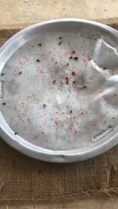 Fly Killing Trap / Bait Pelekat Lalat Ubat Lalat Gam Lalat