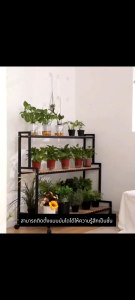 ชั้นวางโชว์ ชั้นดอกไม้ ชั้นวางกระถางต้นไม้ดอกไม้ วางต้นไม้ ดอกไม้ ตกแต่งสวน แข็งแรงชั้นวางกระถางต้นไม้ ชั้นวางดอกไม้ ชั้นวางของเหล็ก 4/3/2ชั้น