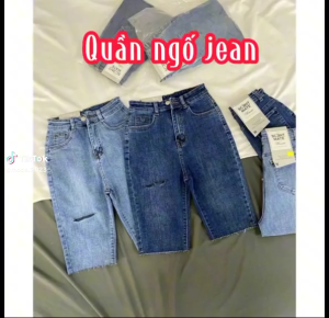 quần jean co giãn trơn lưng cao ngố đơn giản dành cho nữ (có big size)