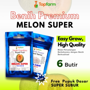 Benih Topfarm / Benih Melon Madu Jumbo / Benih Melon Golden / Benih Melon Madu / Benih Melon Terbaik / Benih Melon Super Besar / Benih Melon Eceran