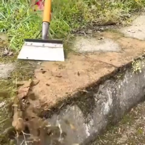 Sekop Pembersih Taman Berkualitas & Multifungsi