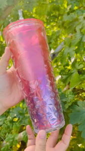 Ly SB Mermaid Pink 710ml bình nước nhựa 2 lớp_kèm ống hút