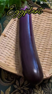 โมเดลมะเขือม่วง มะเขือม่วงปลอม โมเดลผัก ผักปลอม โมเดลผักผลไม้