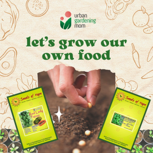 High Quality Seeds (Cucurbits): Upo Ampalaya Patola Kalabasa Pipino