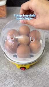 Alat Rebus Telur Kukus Telur Steamer Dapur Electric Egg Cooker Boiler 350W