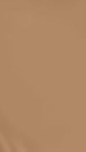 STUDIO TROPIK Foundcealer 2 in 1 Foundation & Concealer