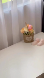 Hegen Essentials Starter Kit | PCTO | PPSU