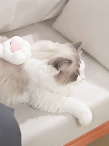 [SG Stock]Pet Hair Grooming Comb Massager Fur Brush Comb For Cat & Dog Stainless Pin