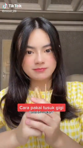 Tusuk Gigi Tempat Model Korek isi 50pcs / Tusuk Gigi Bambu Portable Model Saku/Tusuk Gigi Wadah Mini