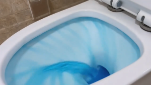 Supermax  IRC Bowling Ball Bathroom Cleaning Automatic Deodorant Toilet Bowl Cleaner