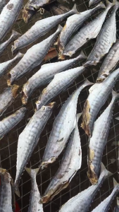 Khô Cá Thu Đã Bỏ Đầu Nhiều Thịt Vị Vừa Ăn - Vựa Khô Tú Sương