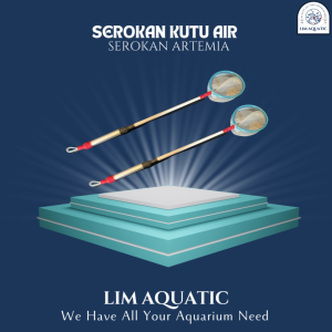 Serokan Artemia Serokan Kutu Air Diameter 7cm Ganggang Stainless