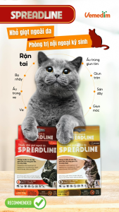 Vemedim Spreadline vàng/đỏ nhỏ giọt ngoài da cho mèo 1 hộp 3 tuýp