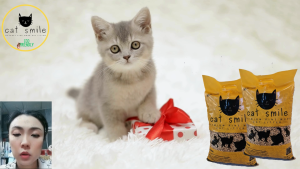 มุมมองเกรดพรีเมี่ยม 10ลิตรx2 ถุง คู่แพ็คคู่ Cat Smile ทรายแมวไม้สน เสริมคุณภาพ