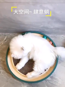 Peliharaan Papan Garukan  Cat Scratcher  Besar Mainan Rumah Cat Scratcher Tahan Lama Dan