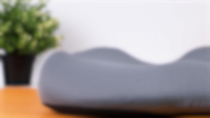 Fennix Ergocushion รุ่น Base Pillow สุขภาพ กระดูกก้นและกระดูกก้น ลดการกดทับ สะโพก ราคาที่สุด