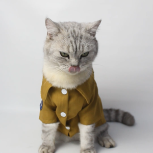 Baju Kucing Anjing Laki-laki dan Cewek Lucu Murah 5 Ribu Perlengkapan Kucing - BUKI Pet Outfit PNS