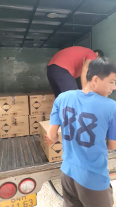 Hạt giống ớt hiểm Chánh Phong F1 số 04 gói 5g