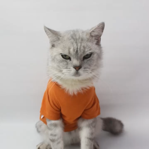 Baju Kucing Anjing Cewek Cowo Lucu Murah Gratis Ongkir 3 pcs 5 Ribu - Toy Story Tee