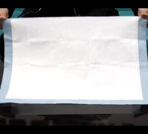 Pet Puppy Training Mat Wee Wee Urine Pad 5 Layers Pet Diaper Alas Menukar Haiwan Peliharaan 宠物尿垫