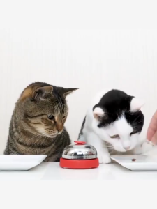 Chuông bấm huấn luyện Chó Mèo hình dấu chân (Mẫu mới) - Love Pets Shop