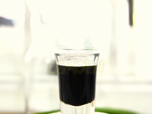 Suur Lemoen - Liquid Palm Sugar - Gula Aren Cair 500gr - Brown Sugar Cair