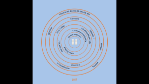Guud! 1 กล่อง (5 ซอง) อาหารเสริม ลดอาการเมา แก้แฮงค์ แก้เมาค้าง ปาร์ตี้หนักตลอดคืนก็ตื่นไหว อาหารเสริมบำรุงตับ 1ซอง2เม็ด