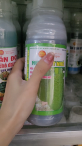 NUÔI MÍT NHỎ - Phân bón lá [QUẢ CẦU LỬA] sửa tướng trái và lên cơm lên múi mít và các loại cây ăn trái