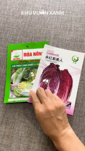 Hạt giống Cải thảo xanh Cải thảo tím Chịu nhiệt Trọng lượng cây thành phẩm 15-2kg (Trồng quanh năm)